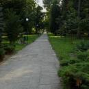 Krotoszyn park fragment 25. 08. 2013 p